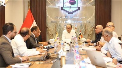 وزير قطاع الأعمال يتابع الموقف التنفيذي لمشروعات شركتي النصر والدلتا للأسمدة