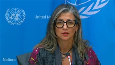 عاجل .. المقررة الأممية تدعو الاتحاد الأوروبي لتعليق شراكته مع إسرائيل