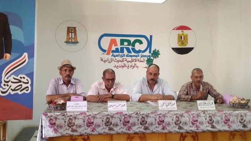 الوادي الجديد تواصل