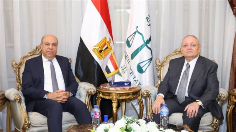 مجلس الدولة