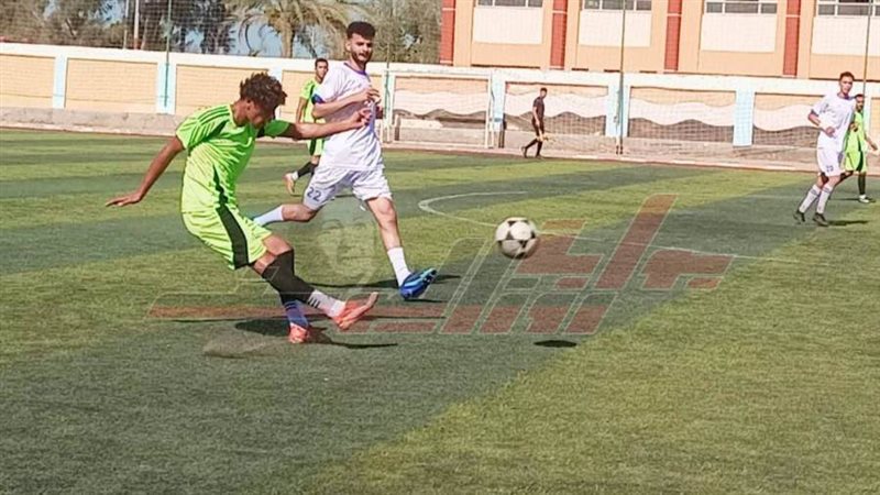 دوري كفرالشيخ