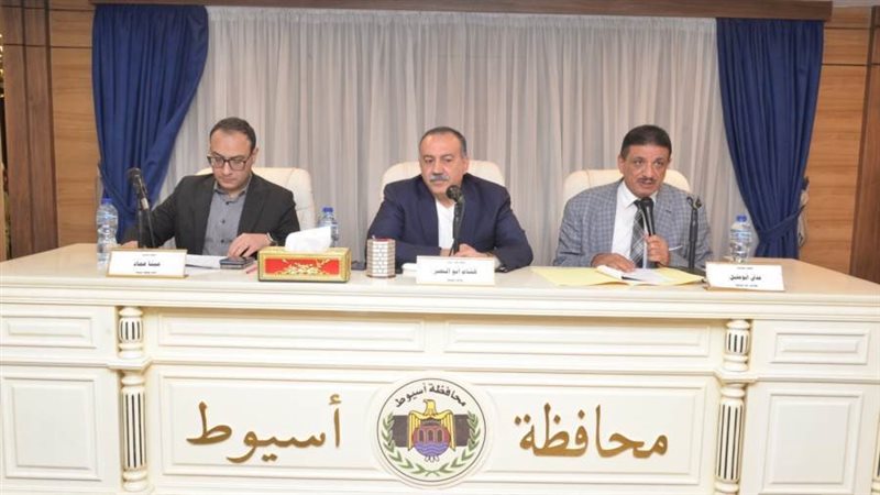 المجلس التنفيذي