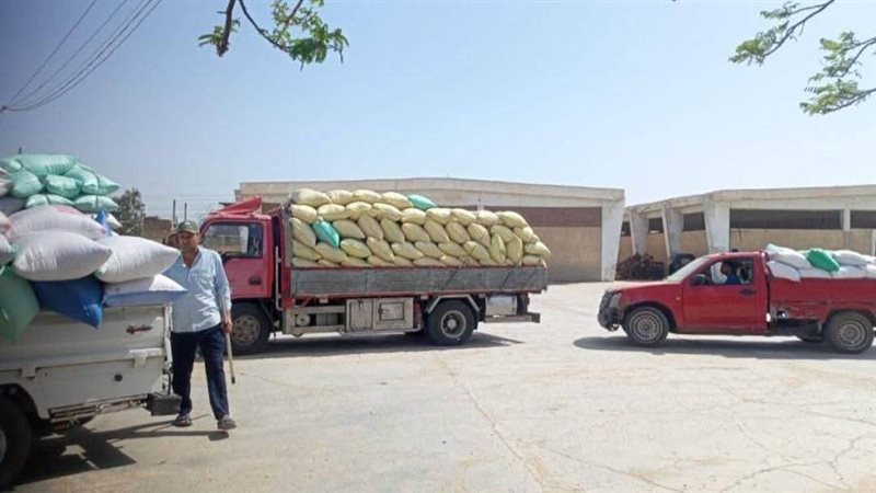 توريد القمح