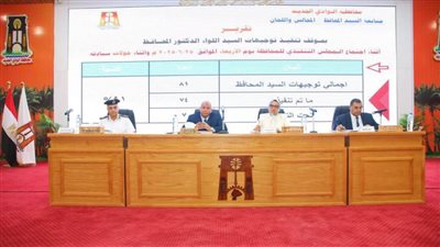زيادة تمويلية بـ702.9 مليون جنيه للوادي الجديد.. والمجلس التنفيذي يناقش استعدادات الانتخابات وموسم التمور