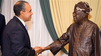 رسالة خطية من الرئيس السيسي لنظيره النيجيري يسلمها وزير الخارجية