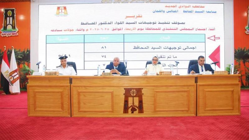 محافظ الوادي الجديد