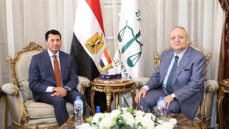 مجلس الدولة