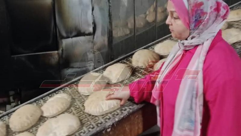 الحملة التموينية