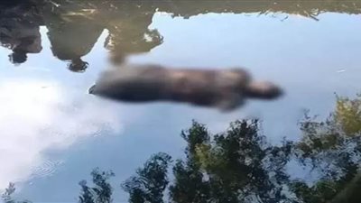 حبس أب أجبر نجلته على الانتحار لشكه في سلوكها بشبرا الخيمة 