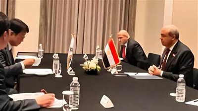 وزير الطيران يبحث في كوريا الجنوبية كيفية تطوير المطارات المصرية
