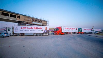  مصدر مصري مطلع: تكثيف جهود الوسطاء لاستكمال إدخال المساعدات لغزة