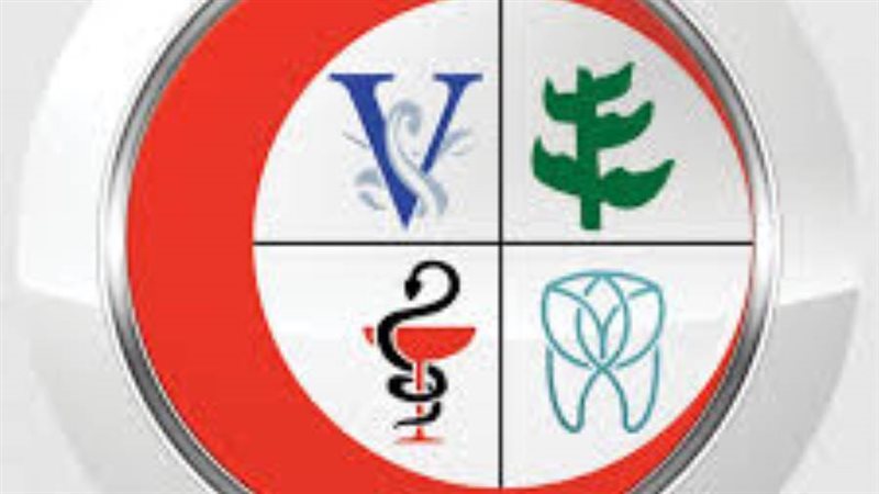 اتحاد نقابات المهن