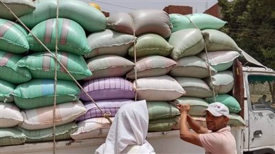 صوامع المنيا تستقبل نصف مليون طن قمح بعد موسم الحصاد الحالي 2025