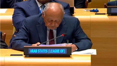 أبوالغيط يشارك في الجلسة الحوارية للمؤتمر الدولي لحل الدولتين