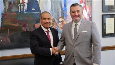 وزير الخارجية يلتقي 