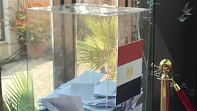 عاجل.. الممنوعون من ممارسة حقوقهم السياسية وفقًا للقانون؟ الوطنية للانتخابات تجيب