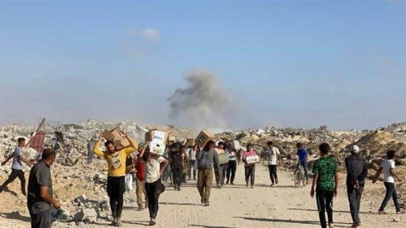 بوابة روز اليوسف