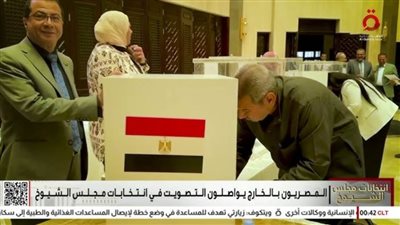 فتح باب التصويت في انتخابات مجلس الشيوخ بسفارة مصر في لبنان لليوم الثاني على التوالي