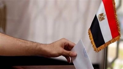 رئيس الجالية المصرية باليونان: توافد كبير على لجان انتخابات الشيوخ اليوم