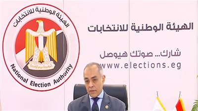 سفير مصر بالإمارات: انتخابات الشيوخ تسير بشكل منظم وسلس