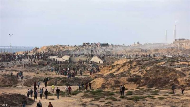 بوابة روز اليوسف