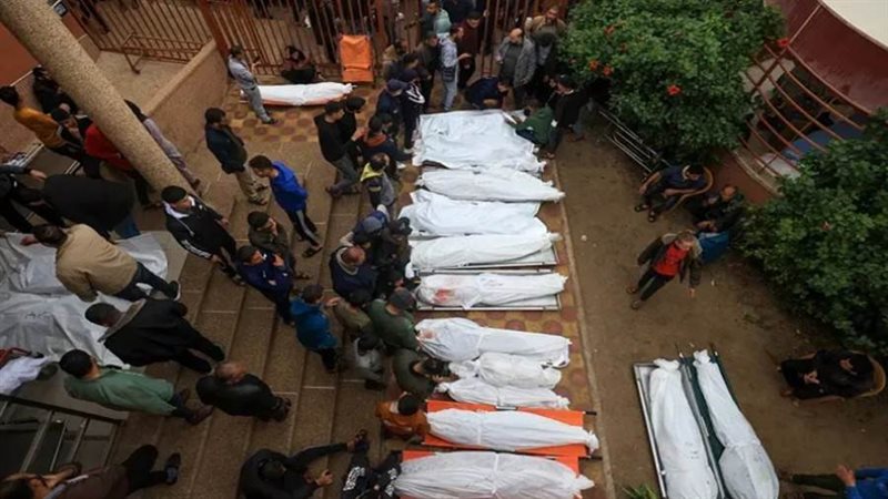 بوابة روز اليوسف