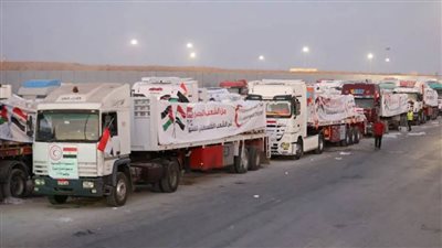 القاهرة الإخبارية: مصر تواصل الإغاثة..قافلة مساعدات سادسة تنطلق إلى غزة عبر معبر رفح