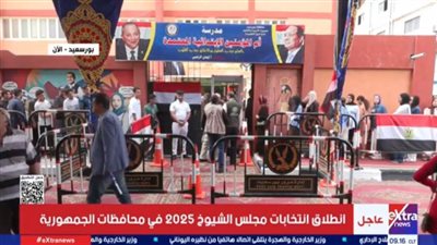 تصويت المصريين في انتخابات مجلس الشيوخ 2025