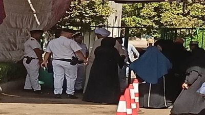 انتظام التصويت داخل لجان مجلس الشيوخ بأسوان والسيدات في صدارة المشهد