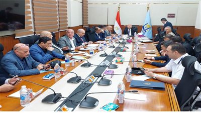 محافظ القاهرة: بدء التصويت في انتخابات 