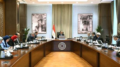 رئيس الوزراء يتابع جهود هيكلة الهيئات الاقتصادية 