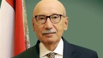 رئيس محكمة النقض يدلي بصوته في انتخابات مجلس الشيوخ