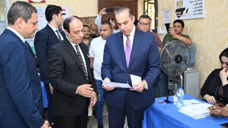 المستشار محمود فوزي