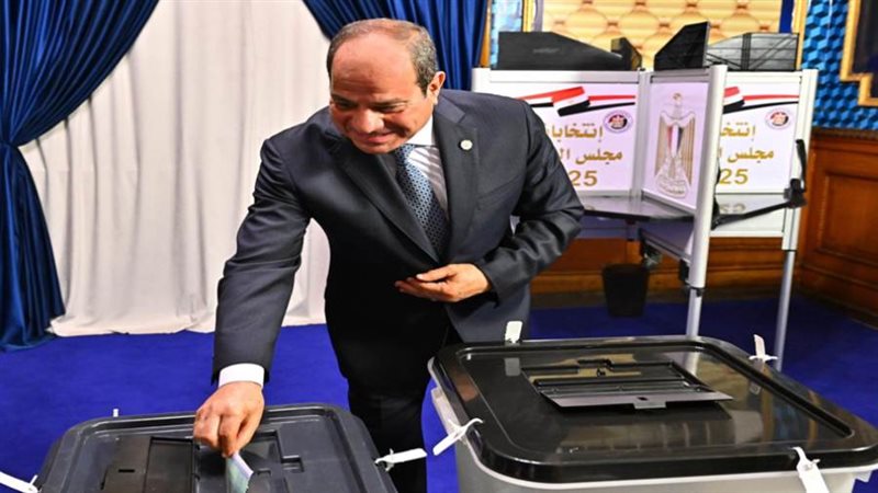 الرئيس السيسي يدلي