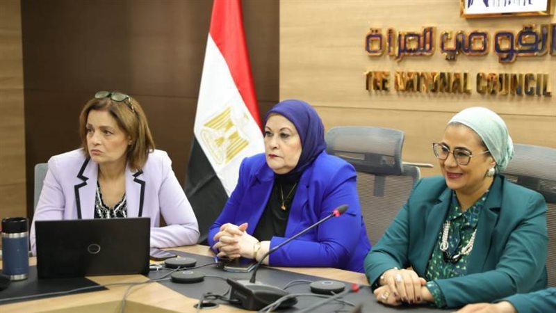 المستشارة أمل عمار