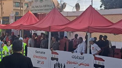 الشباب والنساء وكبار السن يصطفون أمام اللجان الانتخابية بالقاهرة مع بداية اليوم الثاني لانتخابات مجلس الشيوخ