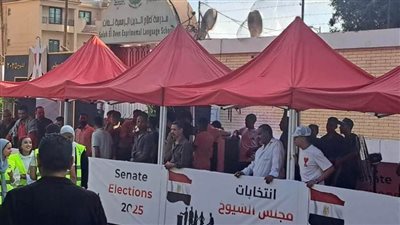 عاجل| بث مباشر.. المصريون يواصلون الإدلاء بأصواتهم في انتخابات مجلس الشيوخ 2025