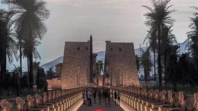 نجاح كبير لمنصة التدريب الالكتروني في مجال السياحة