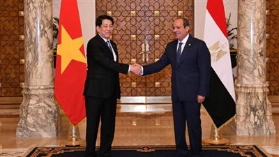 عاجل| الرئيس السيسي لنظيره الفيتنامي: نتطلع لتعزيز أواصر التعاون بين الحكومتين والشعبين الصديقين