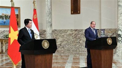 عاجل| الرئيس السيسي يتحدث عن الدور المصري في إدخال المساعدات لقطاع غزة.. ويحذر