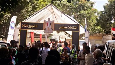 إقبال الناخبين على لجان الاقتراع في الساعات الأخيرة من انتخابات الشيوخ بالقاهرة