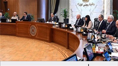 تعرف على 11 قرارًا حكوميًا في اجتماع مجلس الوزراء.. اليوم