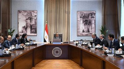 رئيس الوزراء يتابع مبادرة 