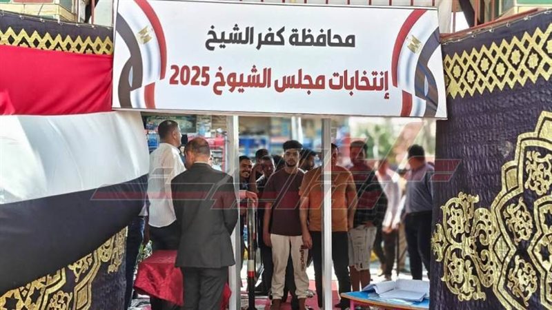 إقبال الناخبين