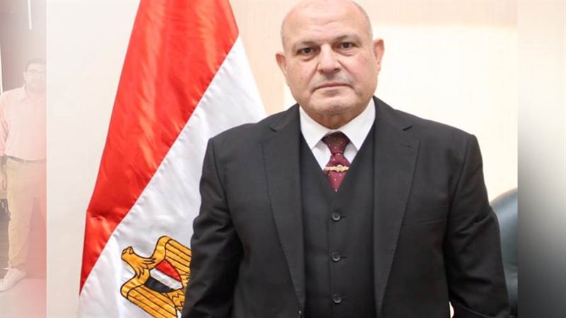 المستشار محمد الشناوي