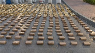 ضبط عنصرين جنائيين شديدى الخطورة بالإسماعيلية لمحاولتهما جلب مخدرات 