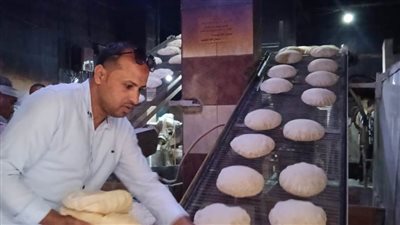 تموين الدقهلية يضبط 185 كجم لحوم ويحرر 109 مخالفات