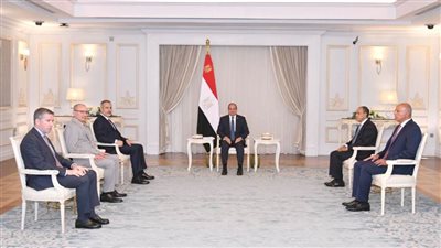 الرئيس السيسي يستقبل وزير خارجية تركيا