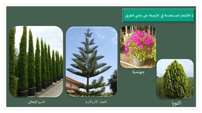 محافظة الإسكندرية: البدء في تنفيذ مشروع توسعة طريق الحرية (أبو قير)