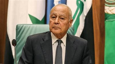 أبو الغيط يبحث مع وزير الخارجية التركي تطورات الأوضاع في المنطقة